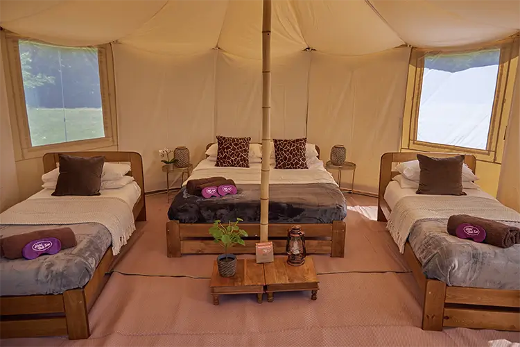 Luxury Yurt